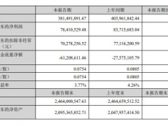 三川智慧上半年净利润7841.05万，同比下降6.34%