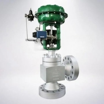 Caged Control Valve