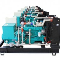 20kW 25kVA LPG Generator